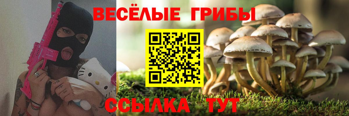 Майкоп  Галлюциногенные грибы GOLDEN TEACHER  Вход с VPN  Псилоцибиновые грибы GOLDEN TEACHER 